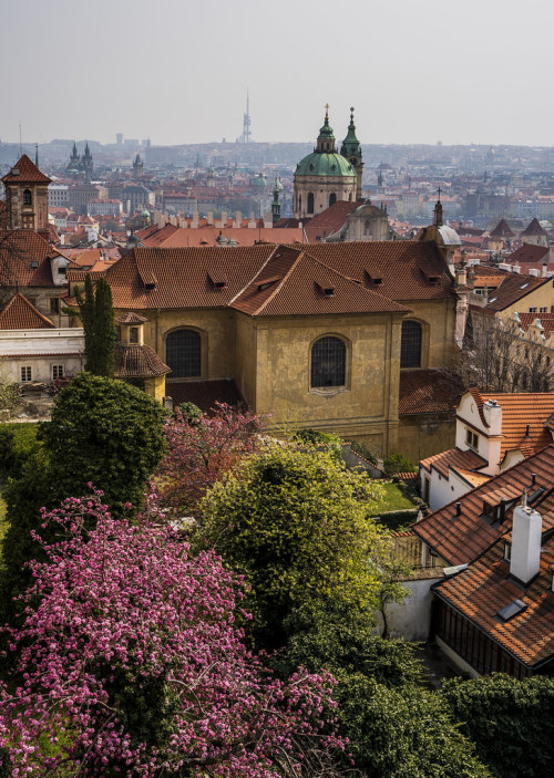 allthingseurope:  Prague (by BAC) Find cheap