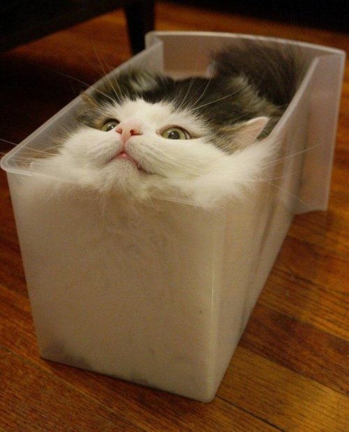 :0