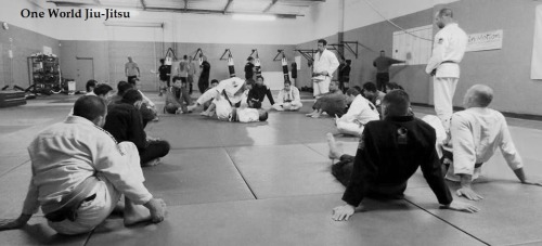 One World Jiu-Jitsu