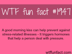 wtf-fun-factss:  Good morning kiss - WTF