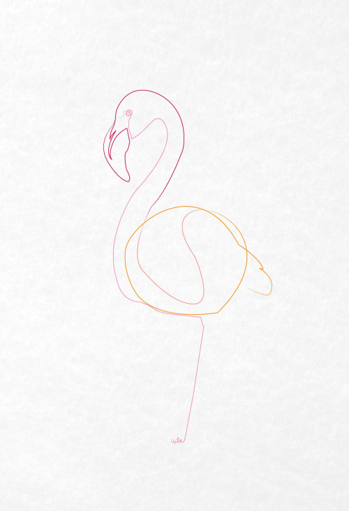 Porn mini-q:  One line flamingo photos