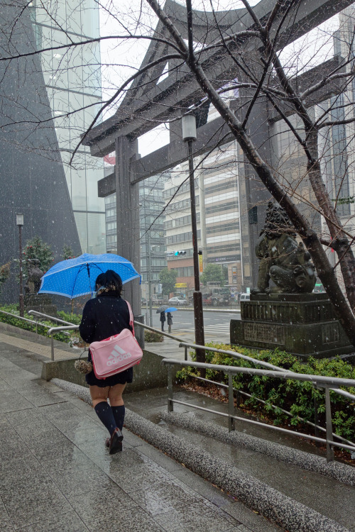 ninetail-fox:a snowy day ,Akasaka