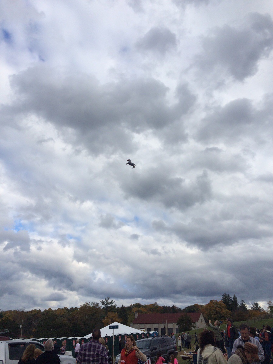 stunningpicture:
“ I was at a horse race yesterday when some kid lost his balloon…
”