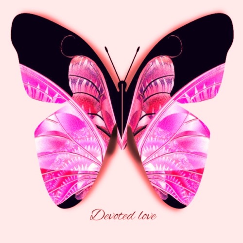 Porn photo Pink-Butterfly