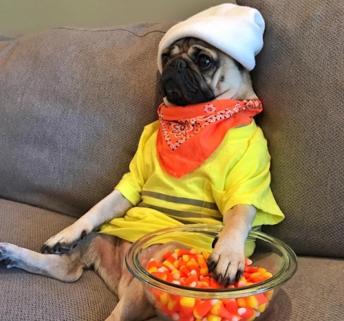 i only eat candy corn when I’m bored