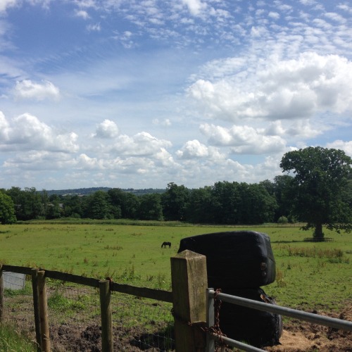 School trip to Gatton Park in Surrey to look for mini beasts