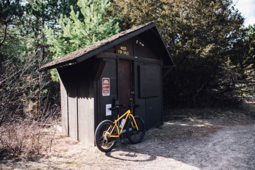 pkatkins: Biking Sand Dunes State Forest 