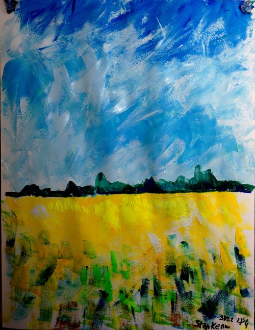 peintre-stephane:fields of thoughttranslated from a @staakenau photo