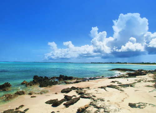 The Bahamas