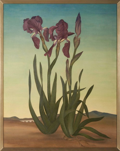 aiastelamonian:Irises (The Sentinels) by Helen Lundeberg, 1936 (Huntington Library, San Marino CA)