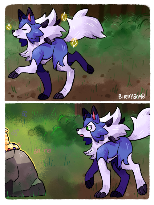 birdybomb:The chosen one ️I thought Zacian kinda looks like a shiny (day) Lycanroc, but extra specia