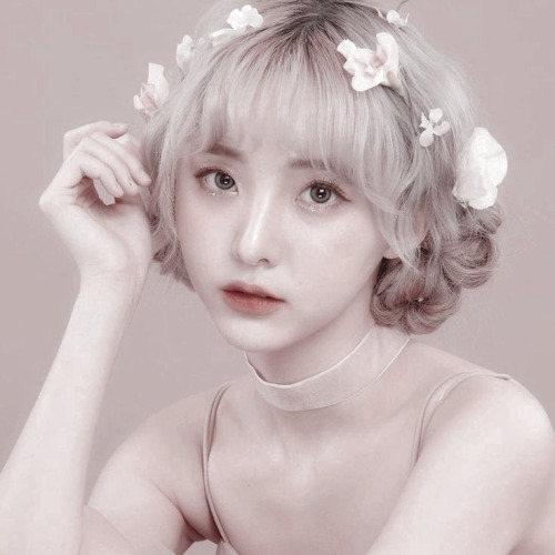 |｡･㉨･)っ♡ 𝙘𝙪𝙩𝙚 𝙜𝙞𝙧𝙡. 
