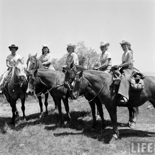 All-girl cattle drive at Gillmans ranch(Nat Farbman. 1958?)