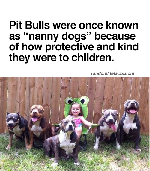 psychofactz:  More facts