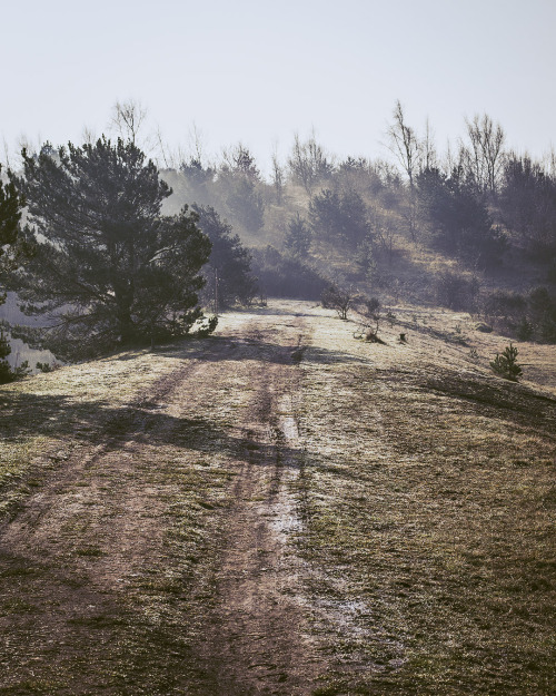 Newstead & Annesley Country Park, Nottinghamshire, England