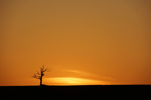 Sunset (Dorset, 2016)