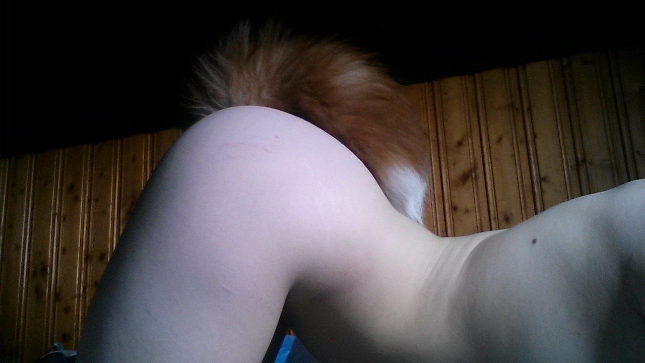 cassiecorpse:  Today was a tail kind of day. 