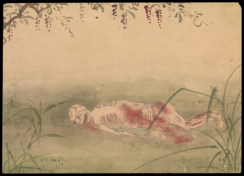 deathandmysticism:Kusozu, The death of a noble lady and the decay of her body, Wellcome Collection