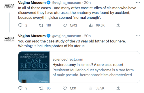Https://twitter.com/vagina_museum/status/1628046312275935232