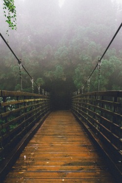 the-ocean-in-one-drop:  I’m on a bridge,