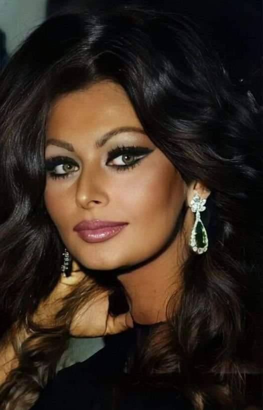 The beautiful Sophia Loren