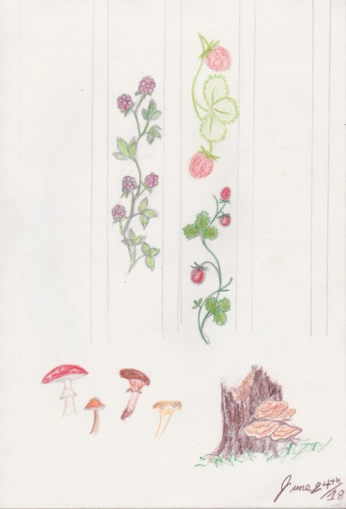 And here’s me thinking about embroidery designs. (For a mushroom themed late 18th century waistcoat.