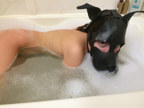 puplaika:  Squeaky clean puppy ✨ adult photos