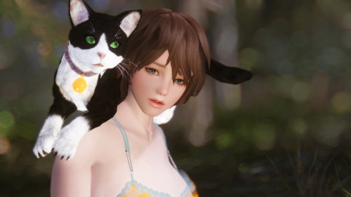 Haruharu Pose by @haru-skyrim05 (Blueberrypie)Thank him for bringing such a wonderful MODVery adorab