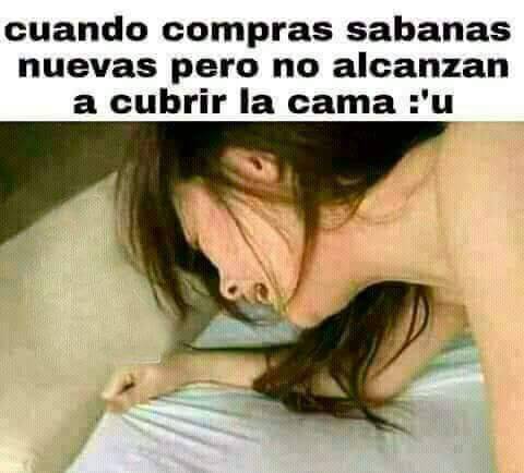 TERRIBLE HD