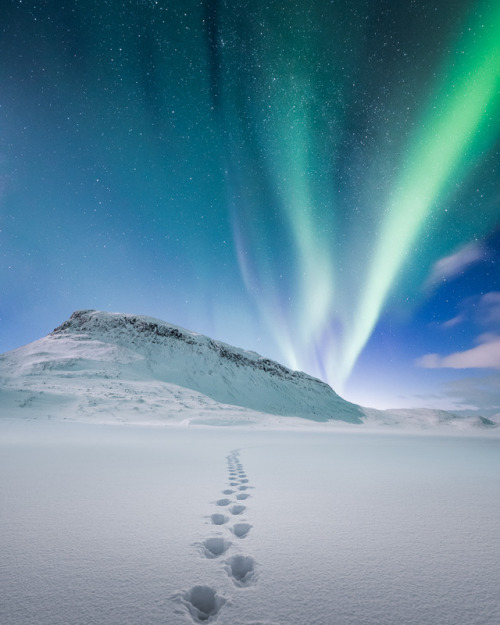 Under The Moonlight & AuroraKilpisjärvi, Finland - 2018