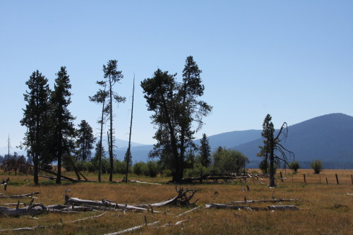 Fort Klamath, OR - August 2020