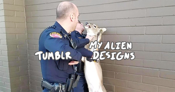 chradi: I’m pissed, but also this doesn’t stop me from making memes out of this