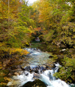 wanderthewood:  Vintgar Gorge, Slovenia by milou.hofman1 