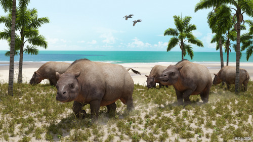 Toxodonts were large, rhino-like grzing mammals that lived mostly in South America until the latest 