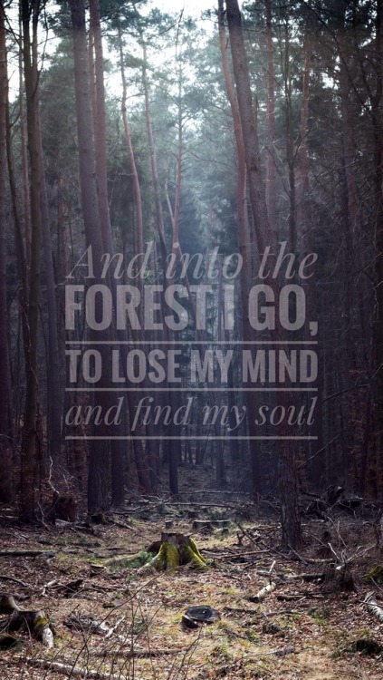 “And in the forest I go, to lose my mind and find my soul.”Instagram: lenas96