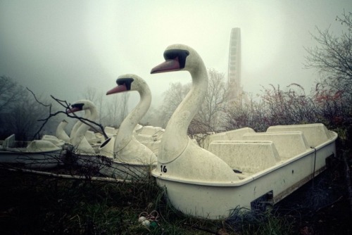 The Swans of Spreepark