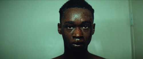 filmbouff: “In moonlight, black boys look adult photos