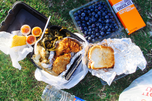 Cambridge x MA: As we said goodbye to fall, my friend and I sat by the Charles and had a picnic for 