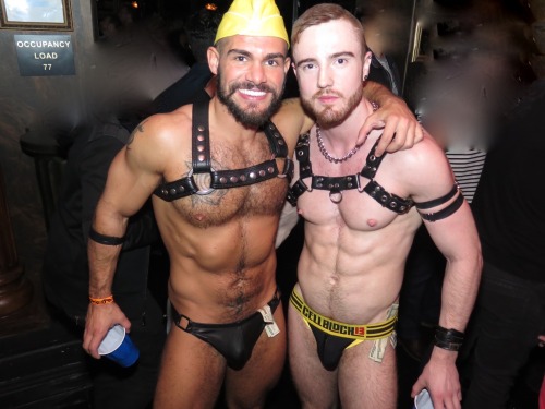 WEST HOLLYWOOD NIGHTS