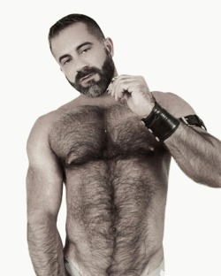 Hairy Chests