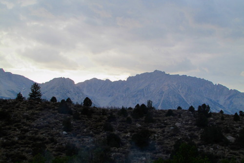 letsbeforestfriends:  Sierra Nevada Mountians. (by letsbeforestfriends) adult photos