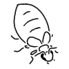 I Was In The Mood For Some Bug Doodles