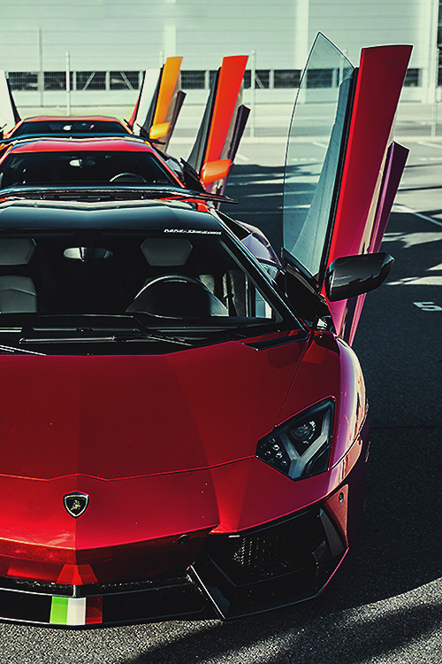 fine-luxury:  Fine-Luxury.co - High Quality Luxury Blog