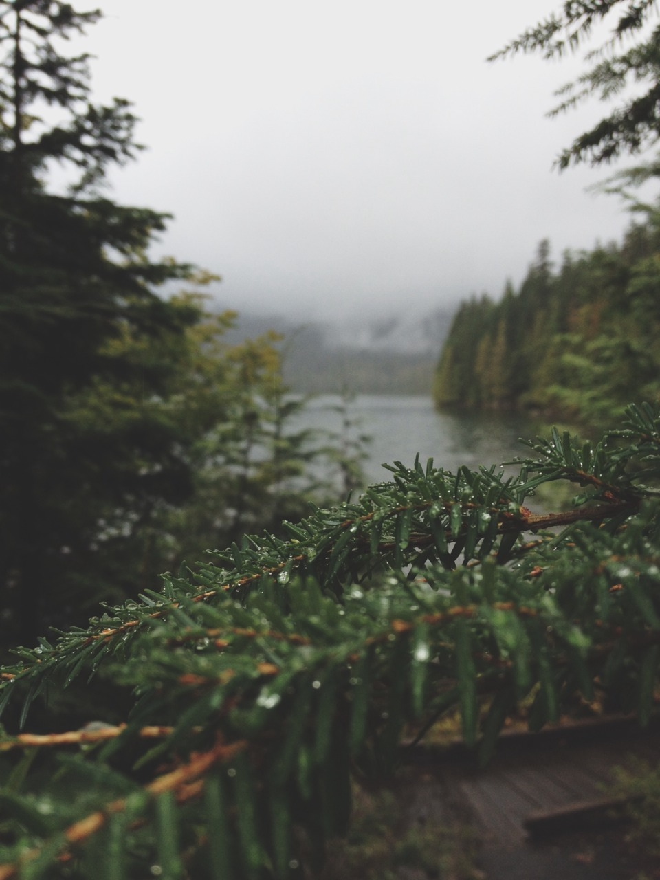 natureac:Take The 52 Week Photo Challenge or Check Out DSLR cameras here
