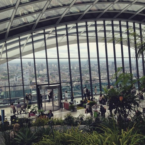 Amazing views of the city from the Walkie Talkie&rsquo;s Skygarden - definitely recommend! #london #
