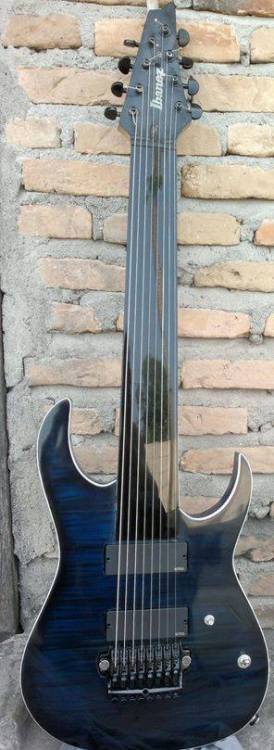 HAD to share it. This is some shit in a completely different level. Ibanez RG 2228 Fretless