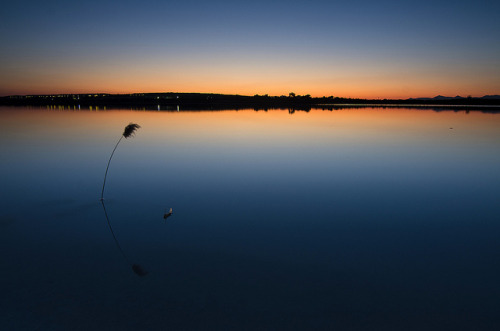 El reencuentro [EXPLORED] by Pedro Díaz Molins on Flickr.