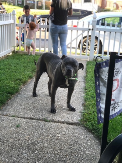 The old man Tyson 