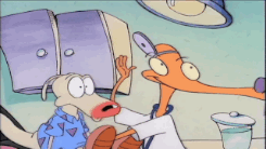 collegehumor:The 40 Dirtiest Jokes From Rocko’s Modern Life It took 3 seasons for the censors to cat