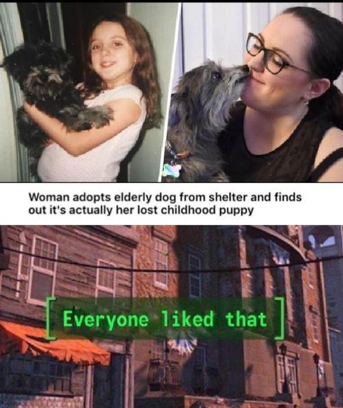 r-memes